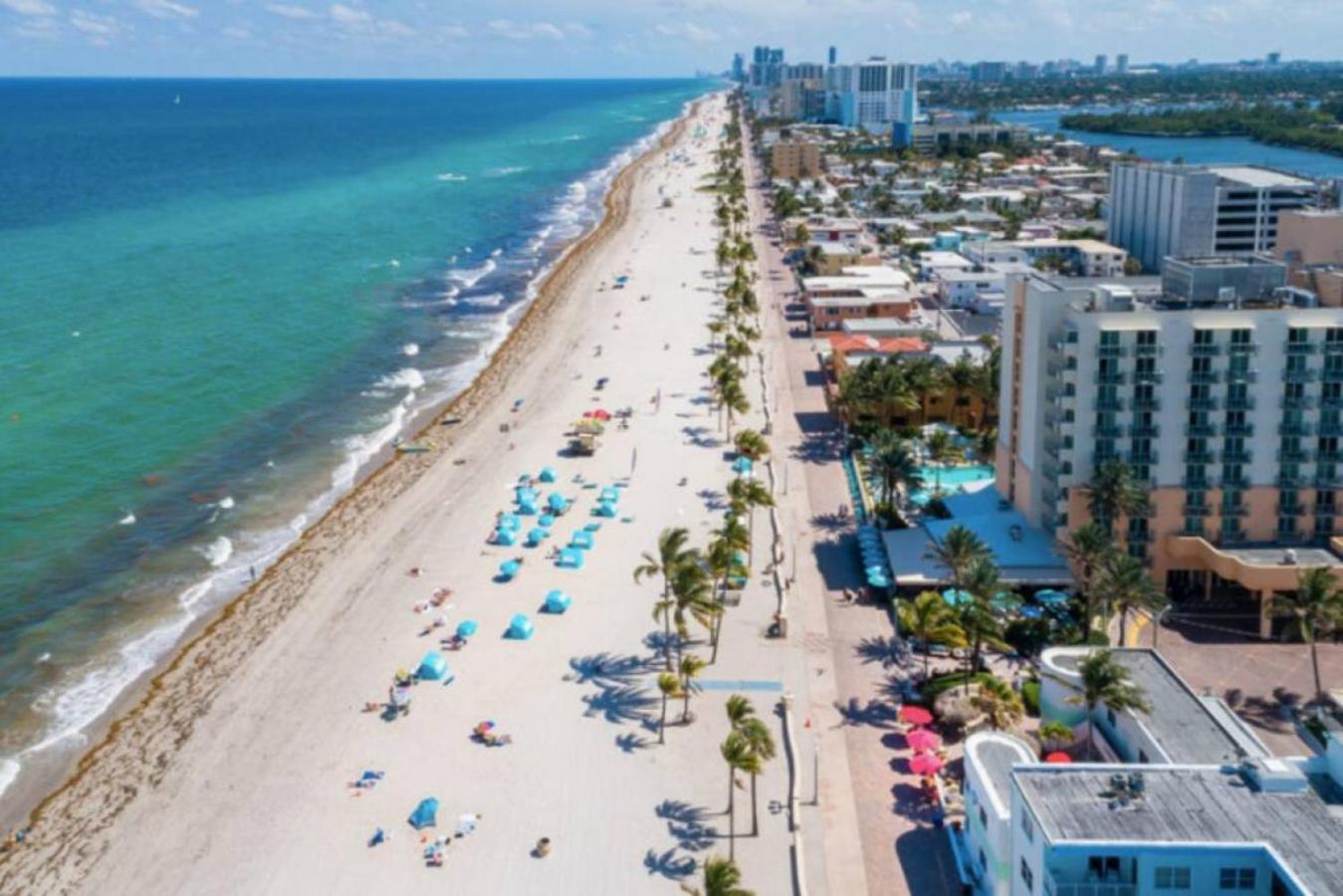 Walkabout 3 King Suite On The Ocean In Hollywood Beach Eksteriør bilde